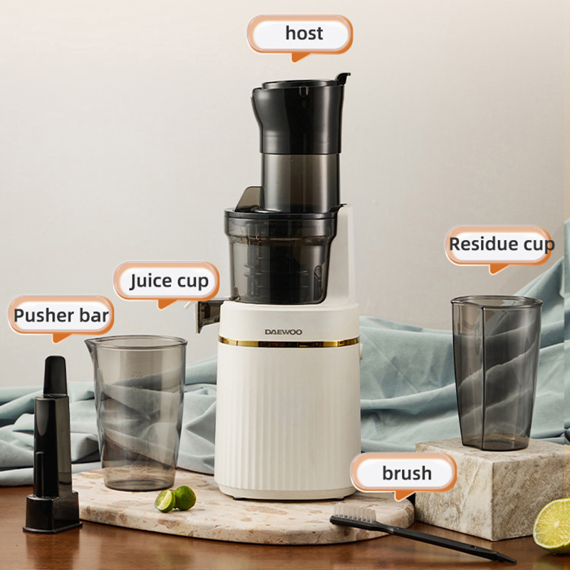 Juicer Cold Press Slow - Portable Blender Electric Slow Juicer -