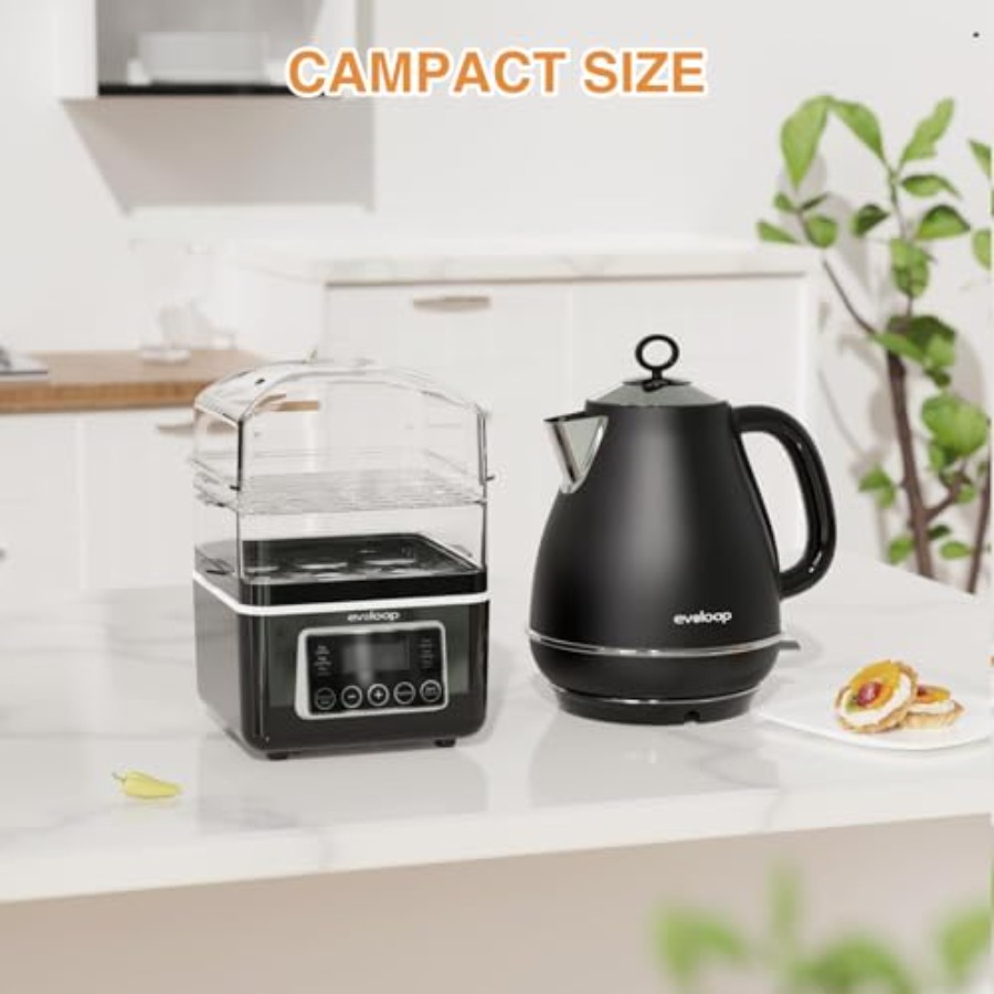 2 Tiers Electric Food Steamer  - Egg Cooker Rapid review and price