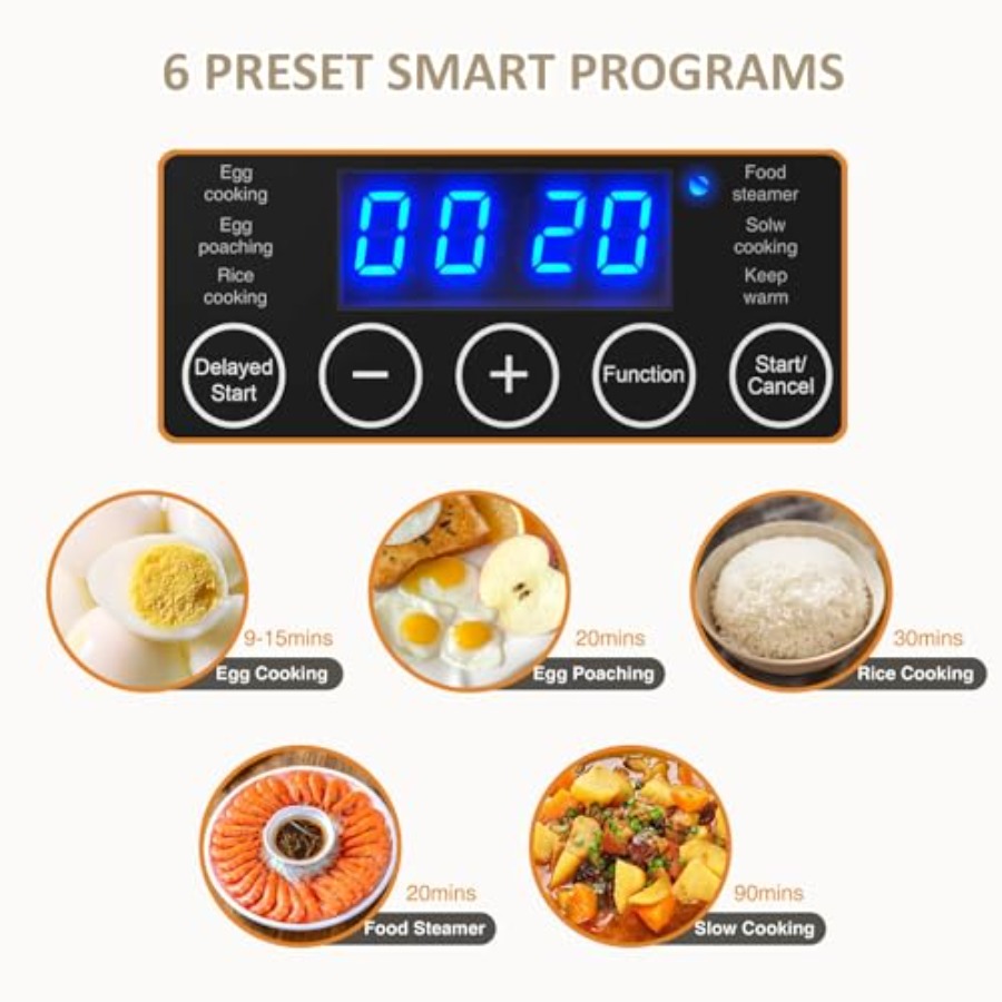 2 Tiers Electric Food Steamer  - Egg Cooker Rapid review and price