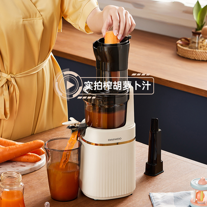 Portable Blender Electric Slow - Juicer Cold Press Slow review and price