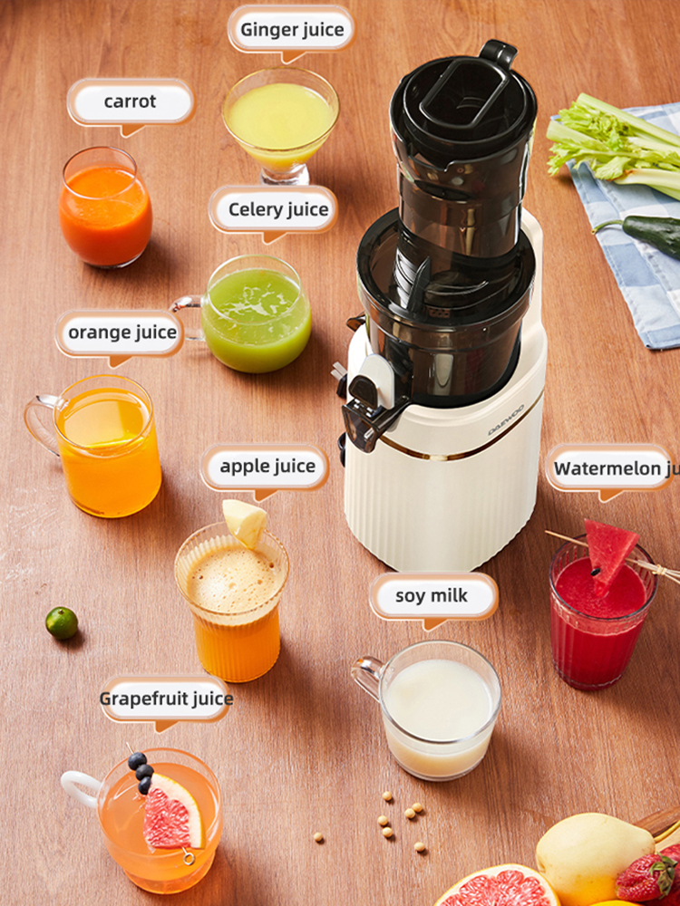 Portable Blender Electric Slow - Juicer Cold Press Slow review and price