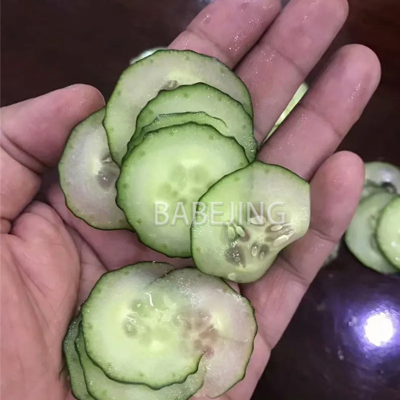 Electric Mini Scallion Chopper - Kitchen Appliances Electric review and price