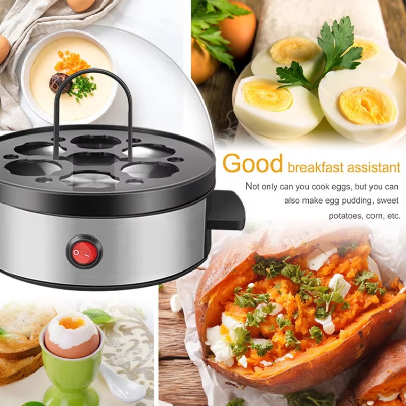 Fast Egg Boiler Stainless Stee - Egg Cooker Rapid review and price