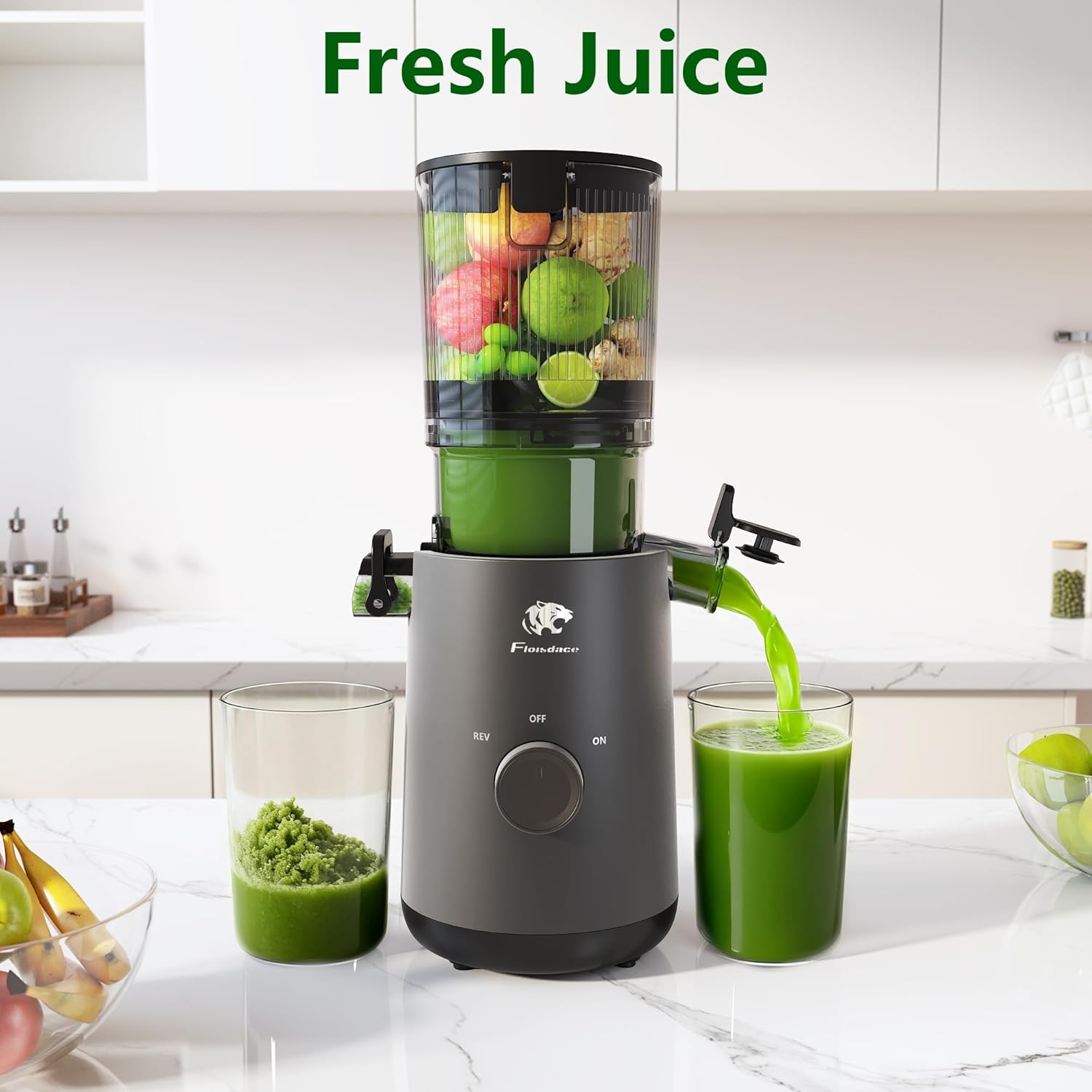 Cold Press Juicer with 5.3