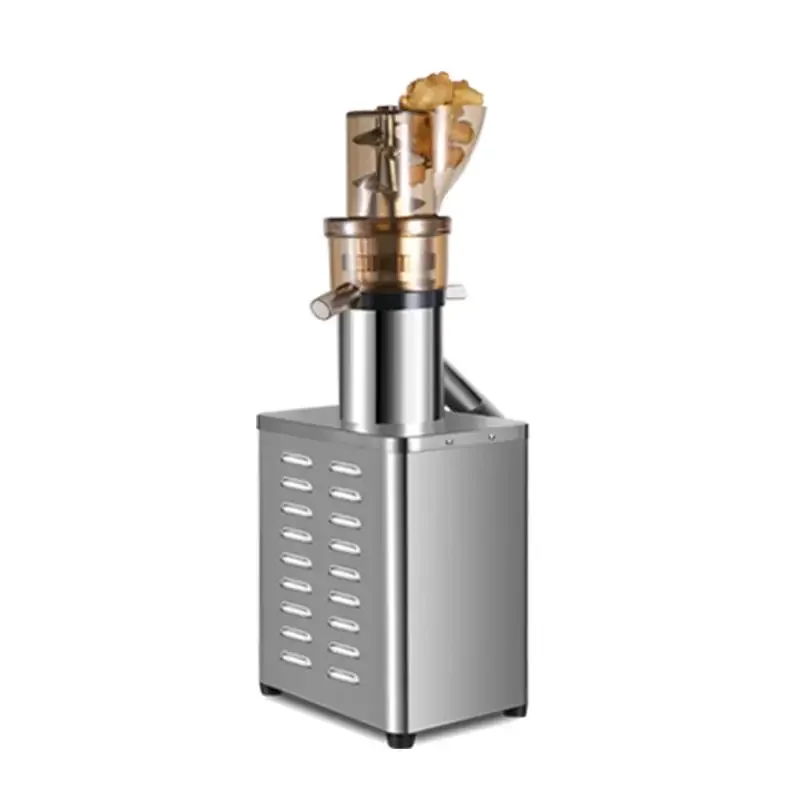 Professional Juicer Extractor  - Juicer Cold Press Slow review and price