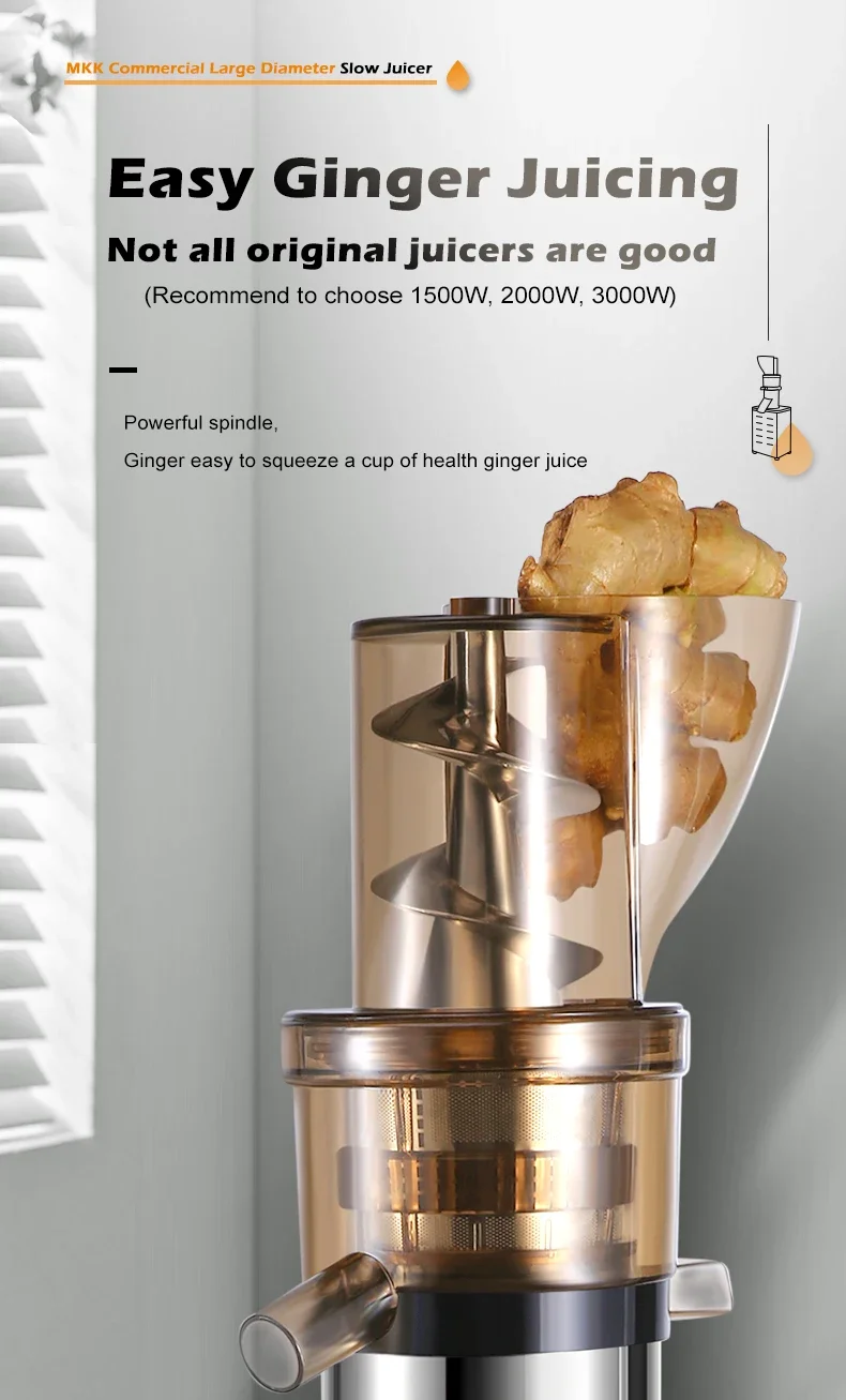 Professional Juicer Extractor  - Juicer Cold Press Slow review and price