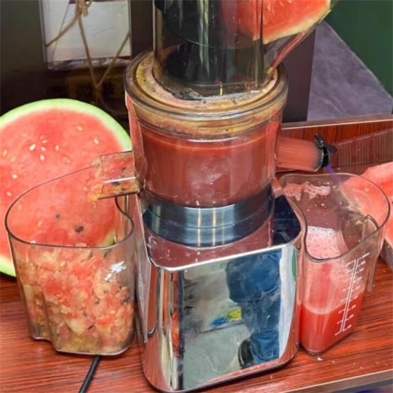 500W Commercial Use Home Use S - Juicer Cold Press Slow review and price