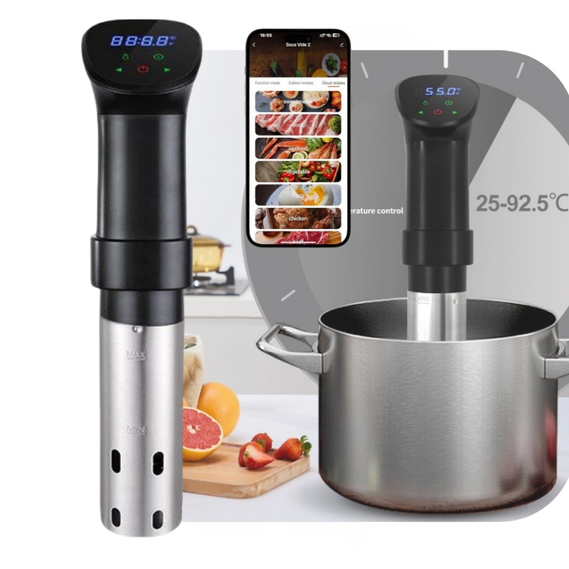 1100W Sous Vide Cooker Stainle - Sous Vide Immersion review and price