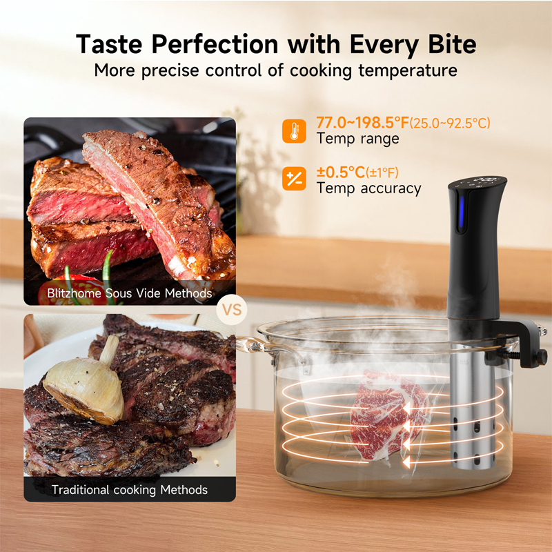 1100W Sous Vide Cooker Stainle - Sous Vide Immersion review and price