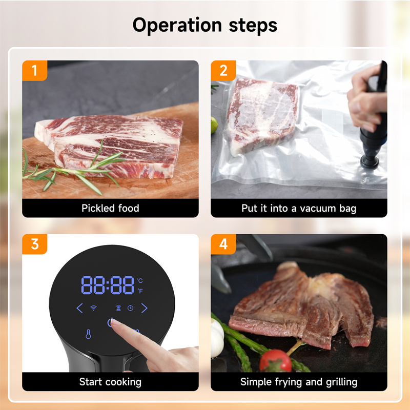1100W Sous Vide Cooker Stainle - Sous Vide Immersion review and price