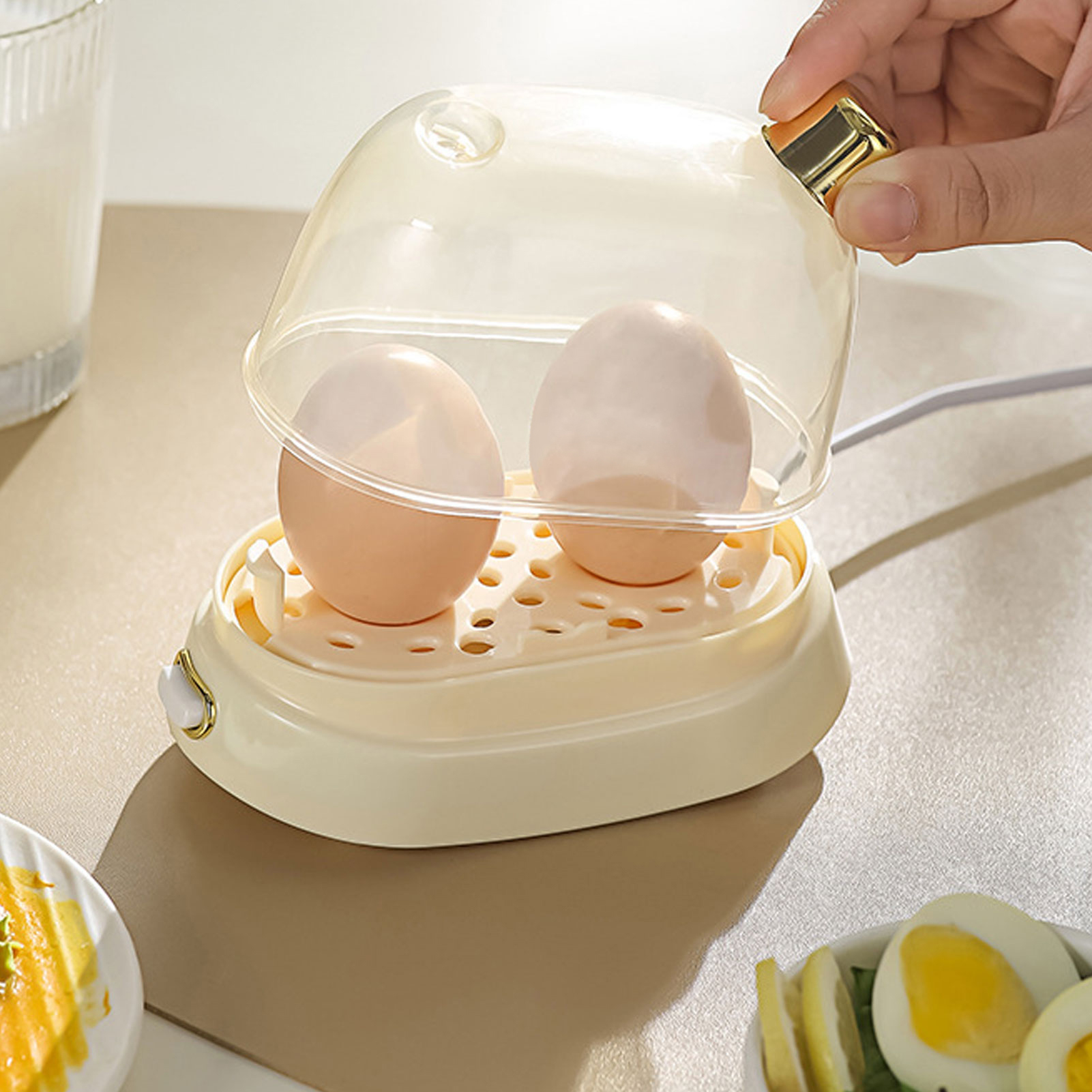 Rapid Egg Cooker 2 Egg Capacit - Egg Cooker Rapid review and price