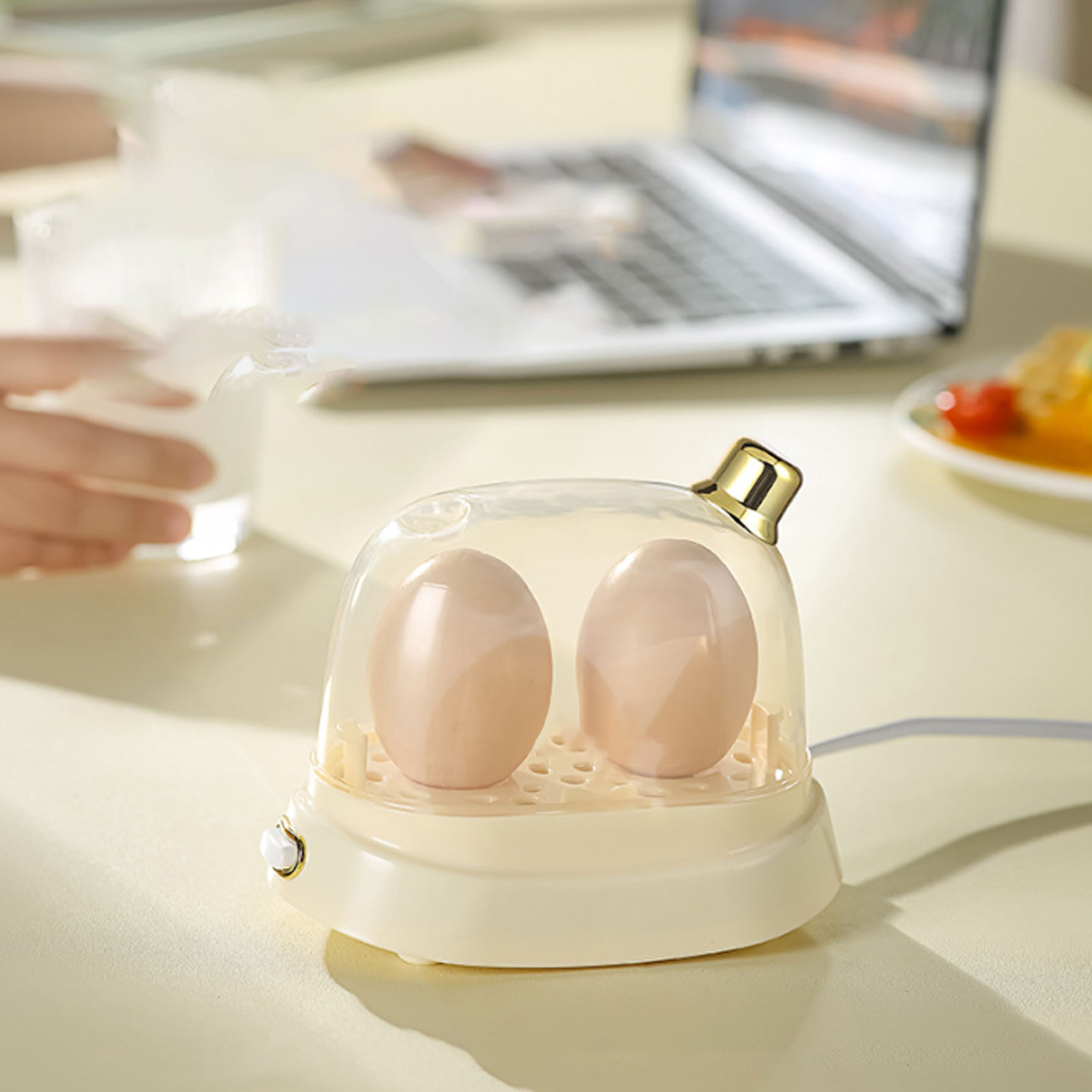 Rapid Egg Cooker 2 Egg Capacit - Egg Cooker Rapid review and price