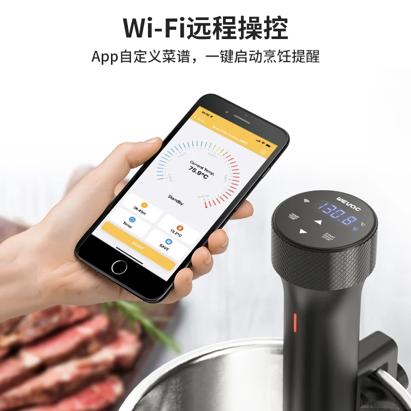 110V/220V WEVAC Sous Vide Prec - Sous Vide Immersion review and price