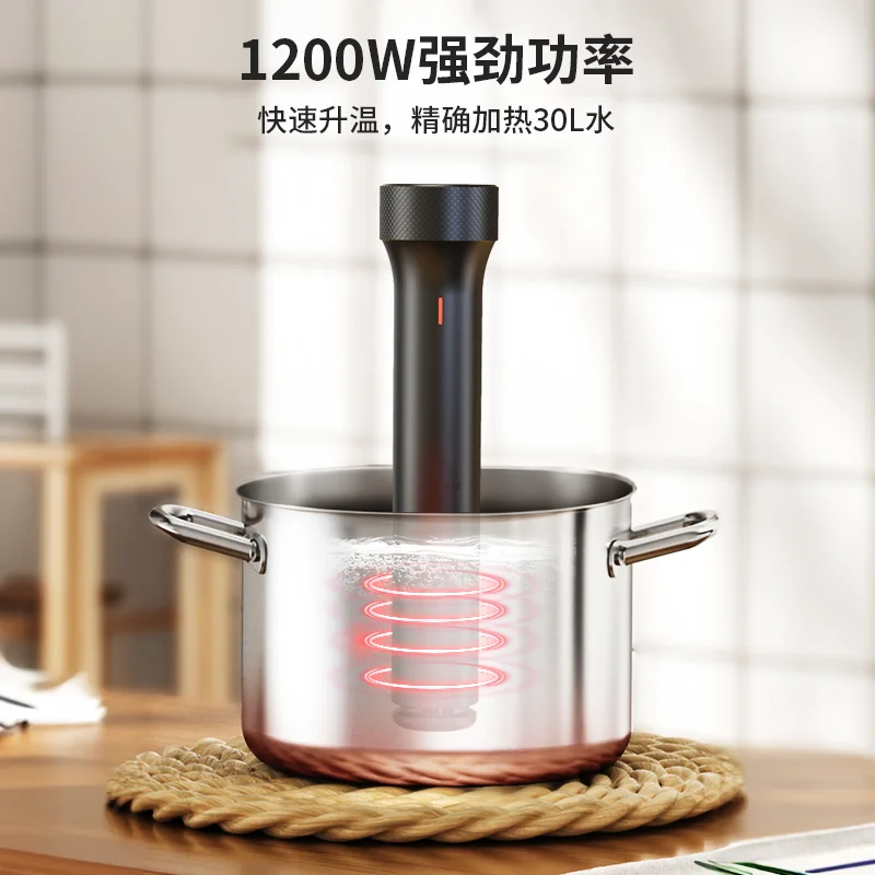 110V/220V WEVAC Sous Vide Prec - Sous Vide Immersion review and price