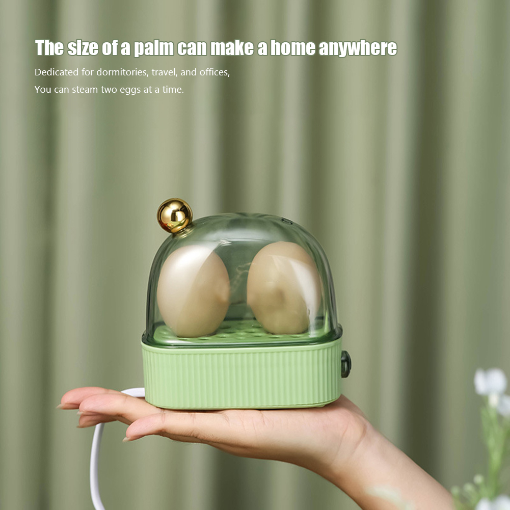220V Double Layer Poacher Auto - Egg Cooker Rapid review and price