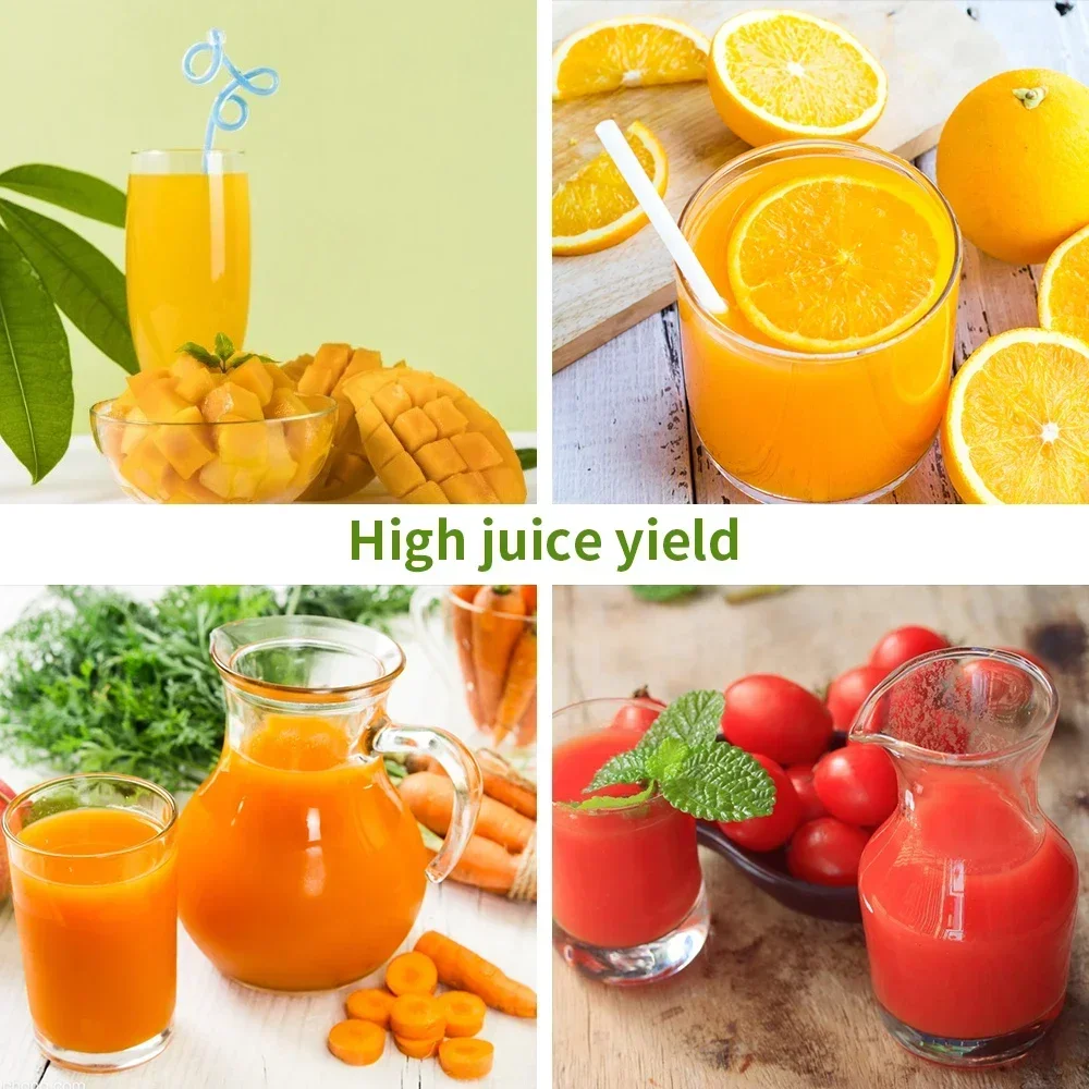 250W Slow Cold Press Fruit Jui - Juicer Cold Press Slow review and price